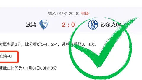 “德布劳内欧冠决赛离场原因揭秘”